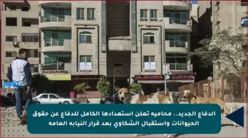 الدفاع الجديد.. محامية تعلن استعدادها الكامل للدفاع عن حقوق الحيوانات واستقبال الشكاوى بعد قرار النيابة العامة